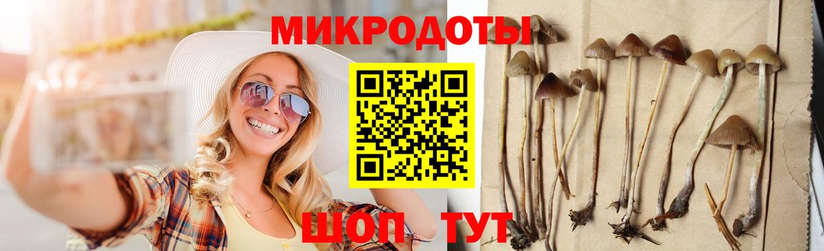 Галлюциногенные грибы Cubensis  Вход с VPN  Видное  Псилоцибиновые грибы GOLDEN TEACHER 